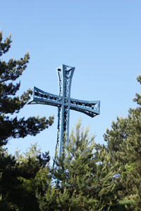 IMG_6064.jpg