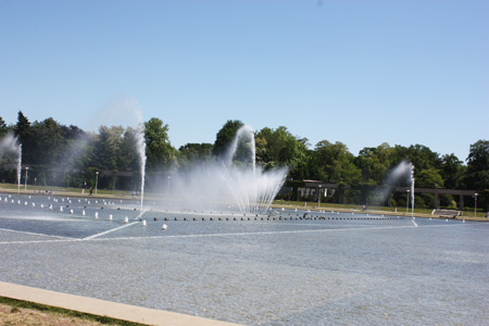IMG_6116.jpg