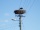 DSC01171.jpg