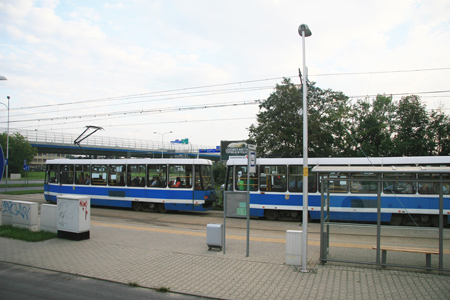 lib-(01).jpg