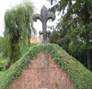06.jpg