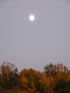 Mar-(55).jpg